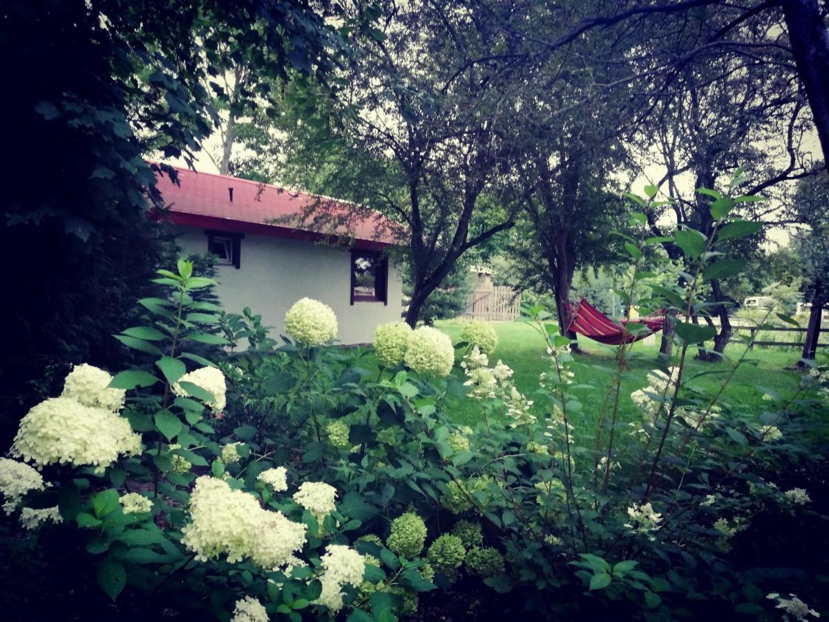 Villa Babie Lato Wlodarka Exterior foto